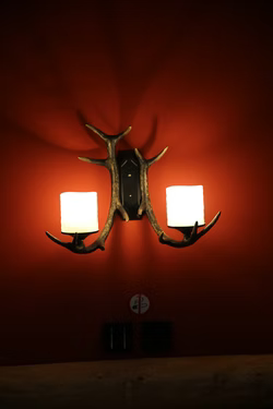lamps in the room